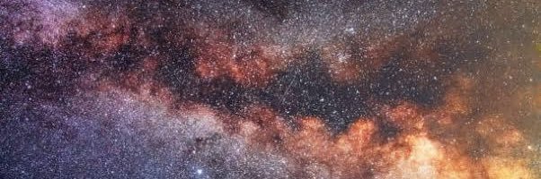 pedrogmota's profile banner image