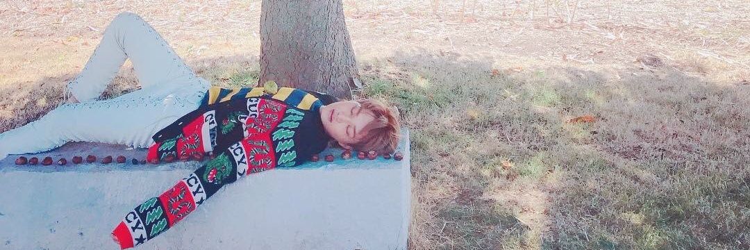 또니니곰🐻 banner