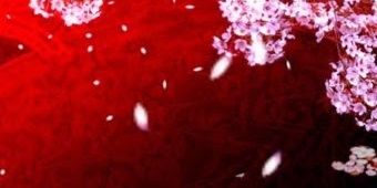 black_rabbit0_0's profile banner image