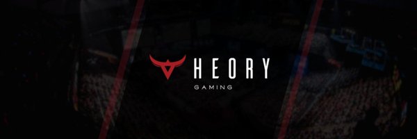 Theory™ Profile Banner