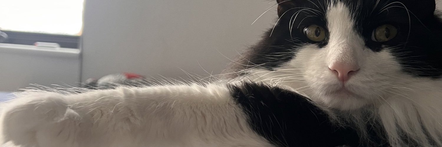 michaelm1443's profile banner image