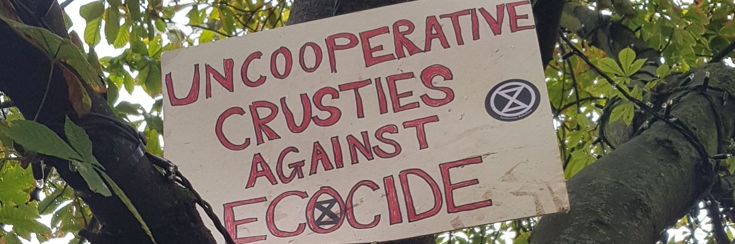 Extinction Rebellion Reading banner