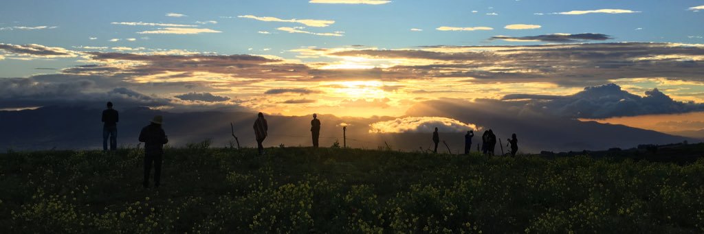 delgabbs's profile banner image