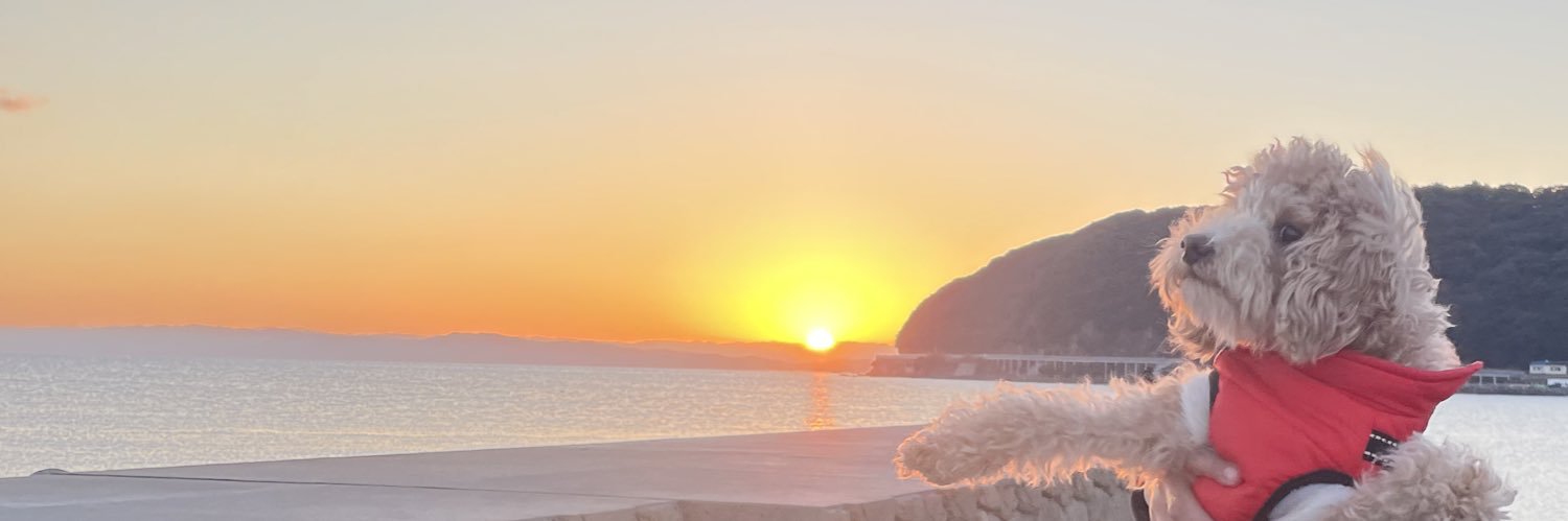 ayumix64's profile banner image