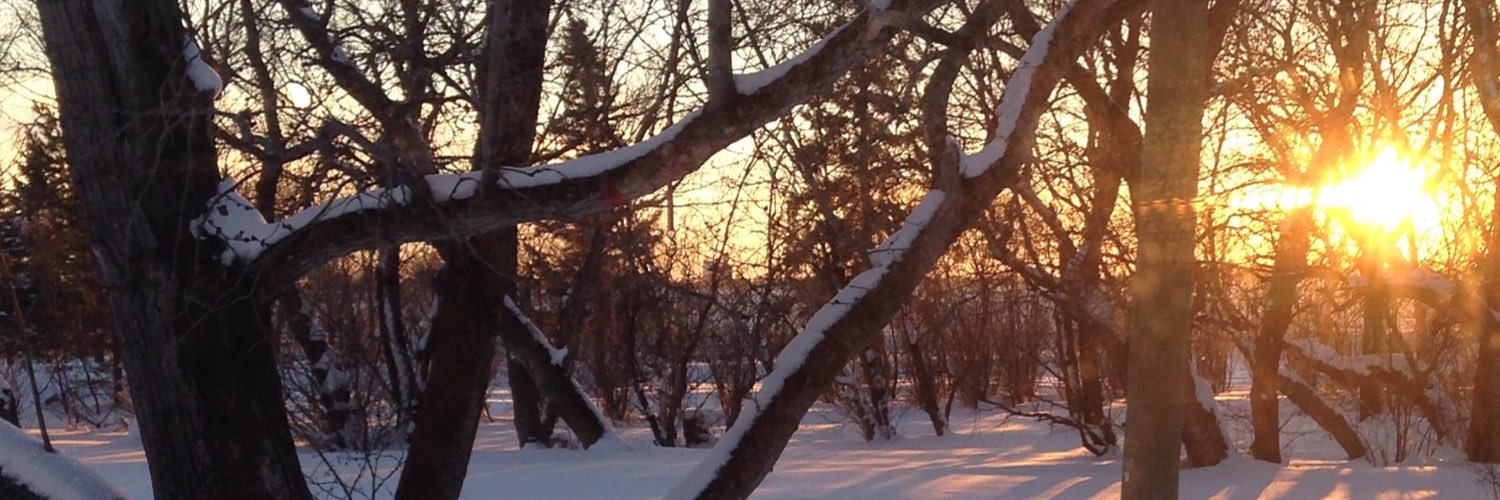 triskleboy's profile banner image
