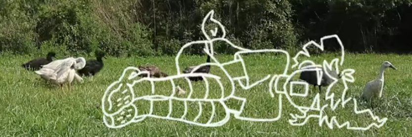 ً banner