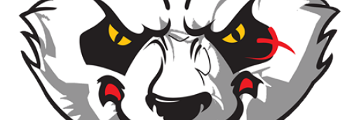 satdica_'s profile banner image