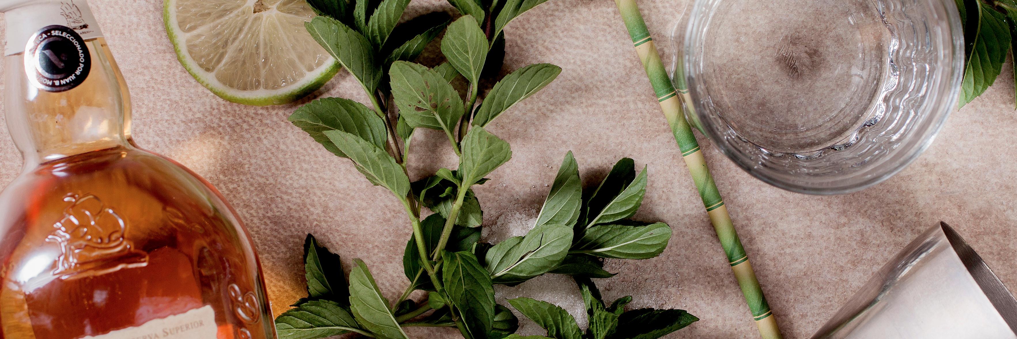 LinneoCondesa's profile banner image