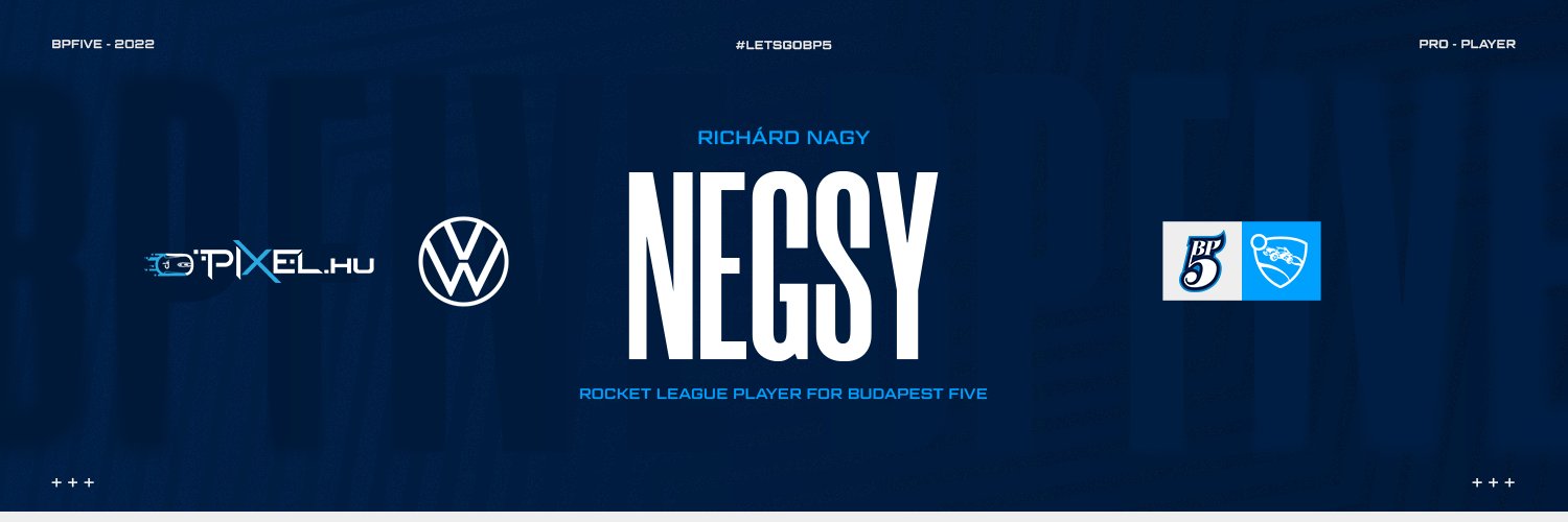 Negsy banner