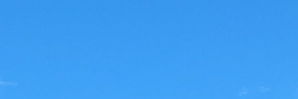 natoriusu_1101 Profile Banner