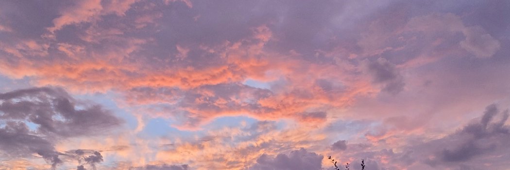 날마다웃음 banner