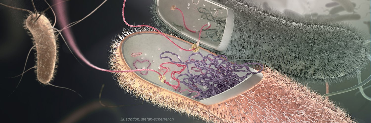 fabienne.benz banner