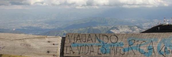 perryplatypusVT Profile Banner