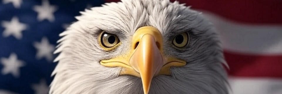 Red River Report banner