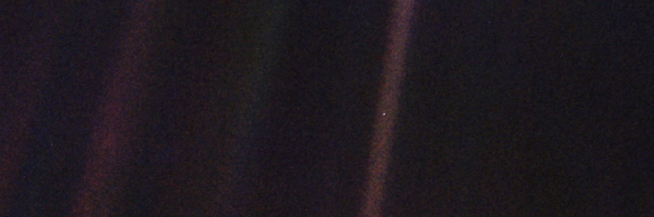 CharlieChaosCat's profile banner image