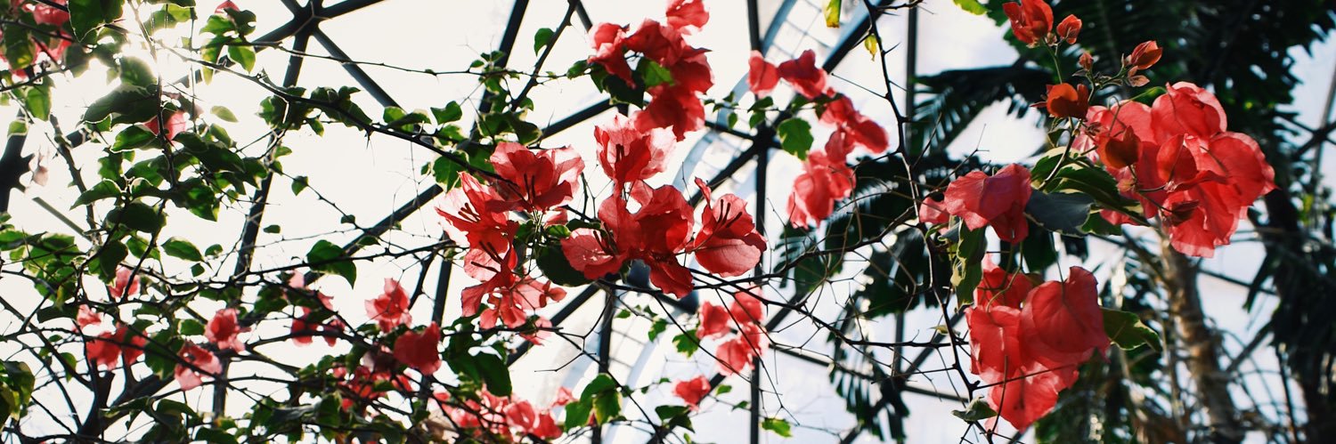 megan_widner's profile banner image