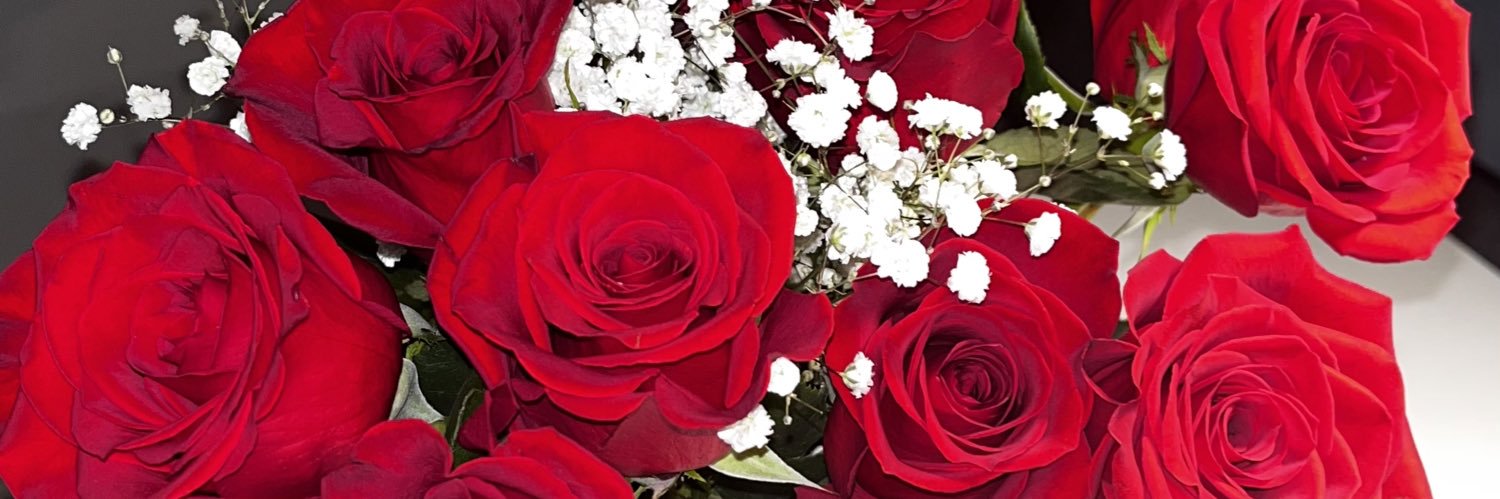 michellleirias's profile banner image