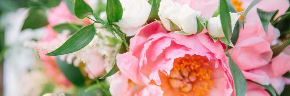 bethanylhowe's profile banner image