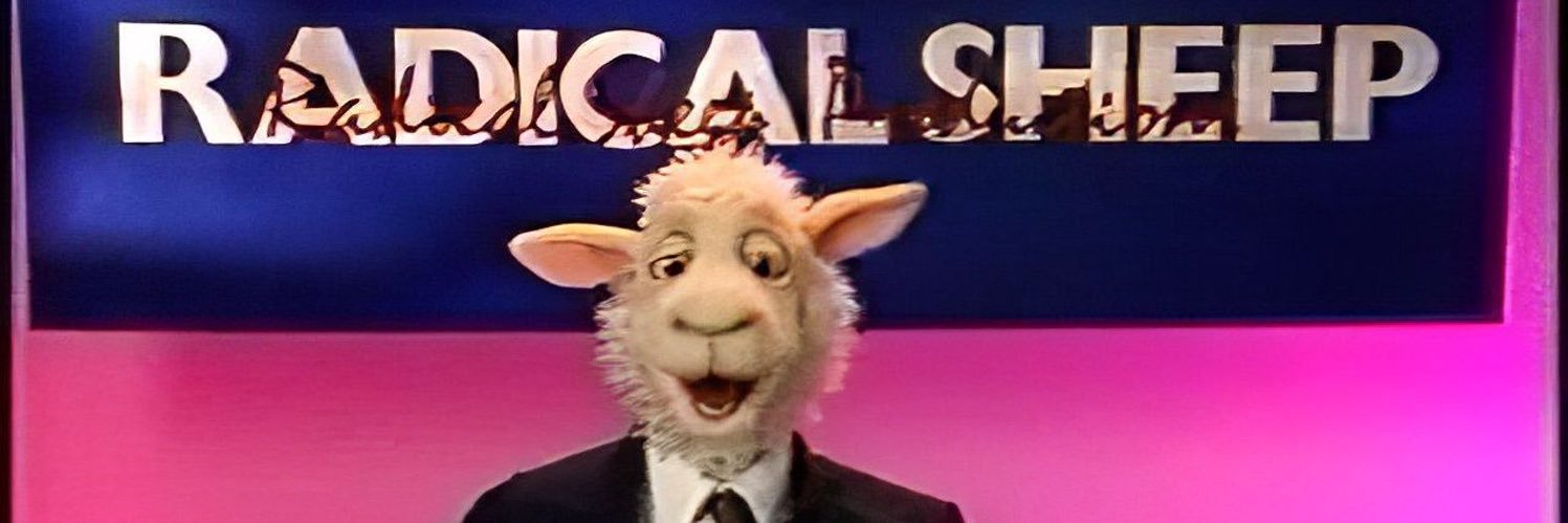 RingedSheep's profile banner image
