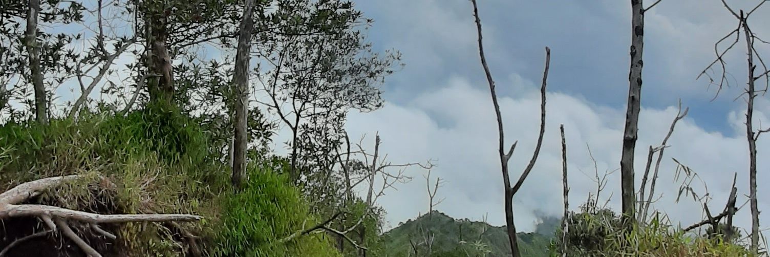 mtcidm's profile banner image