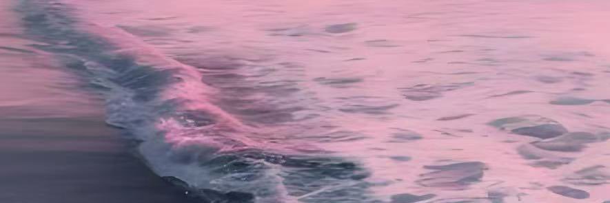 Nova✨ banner