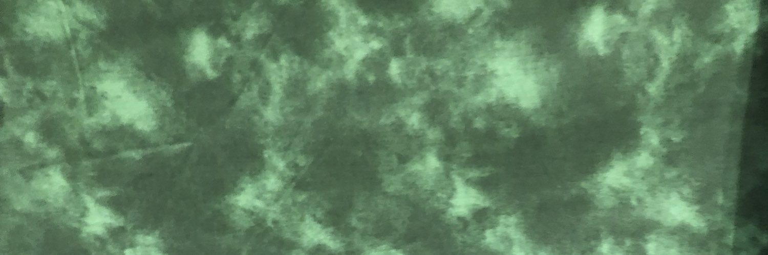 the_hellons's profile banner image