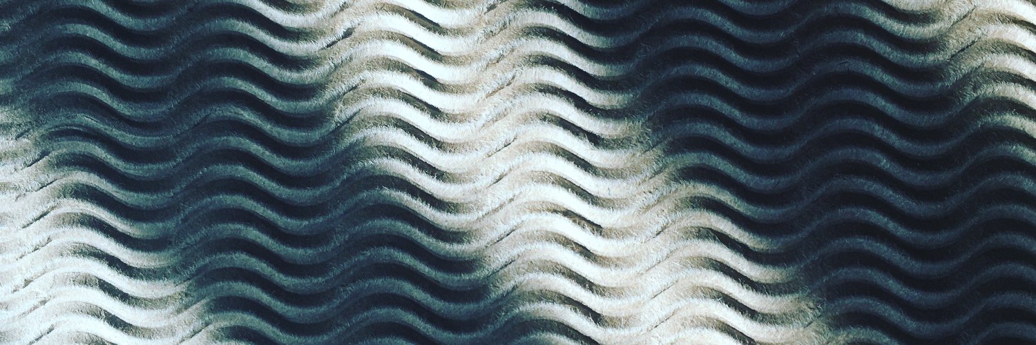 quantumzebra's profile banner image