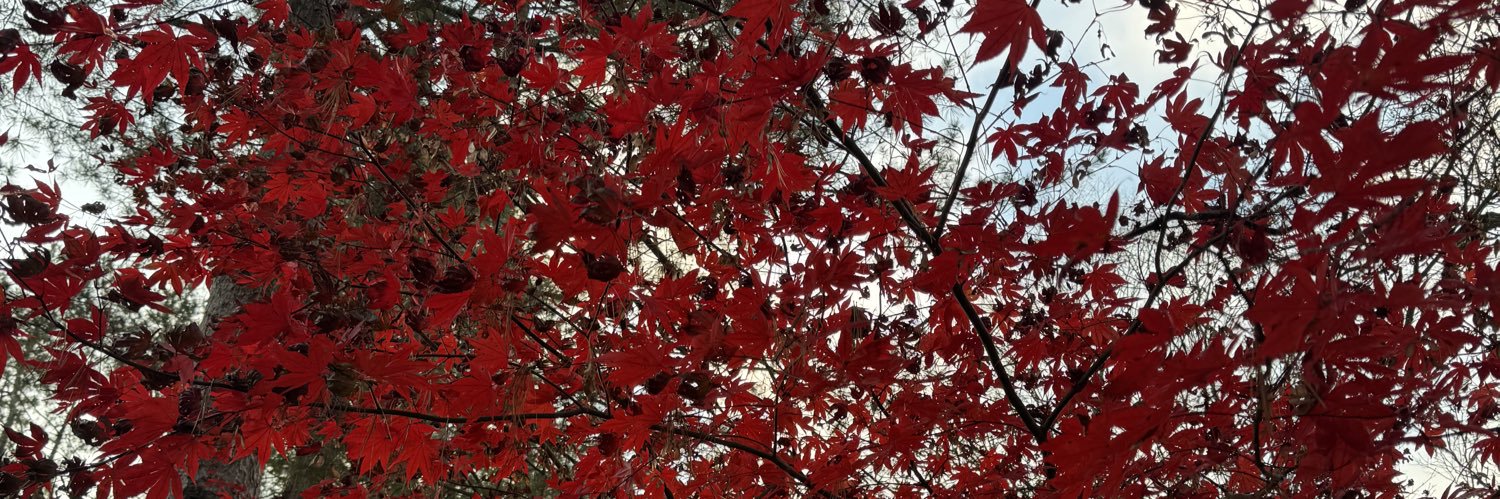 RAND0M 💗✨💫 || HEN banner