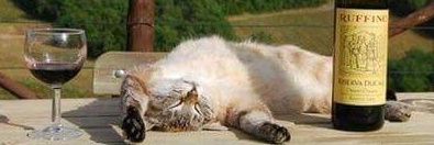 napcat21's profile banner image