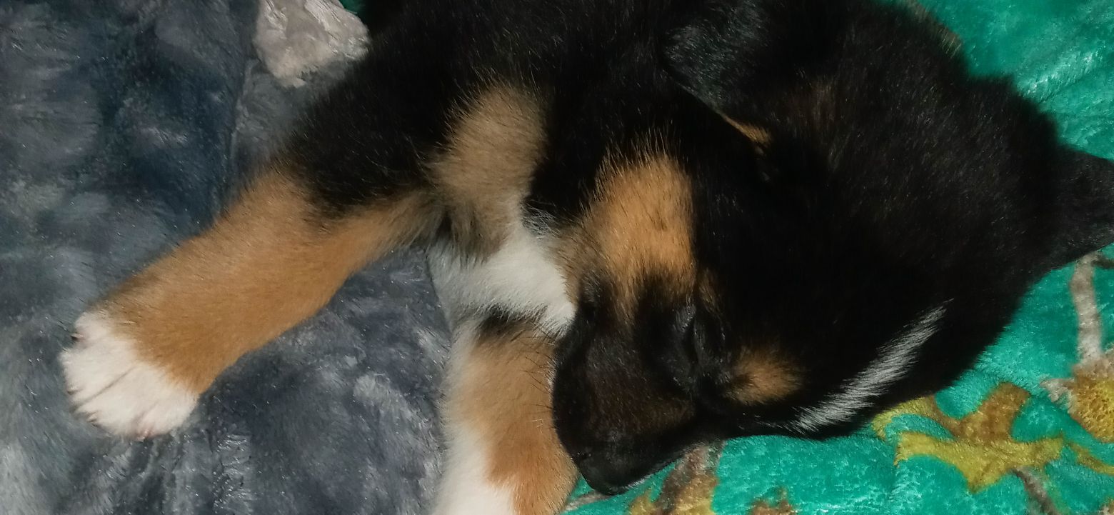 Jbillman4's profile banner image