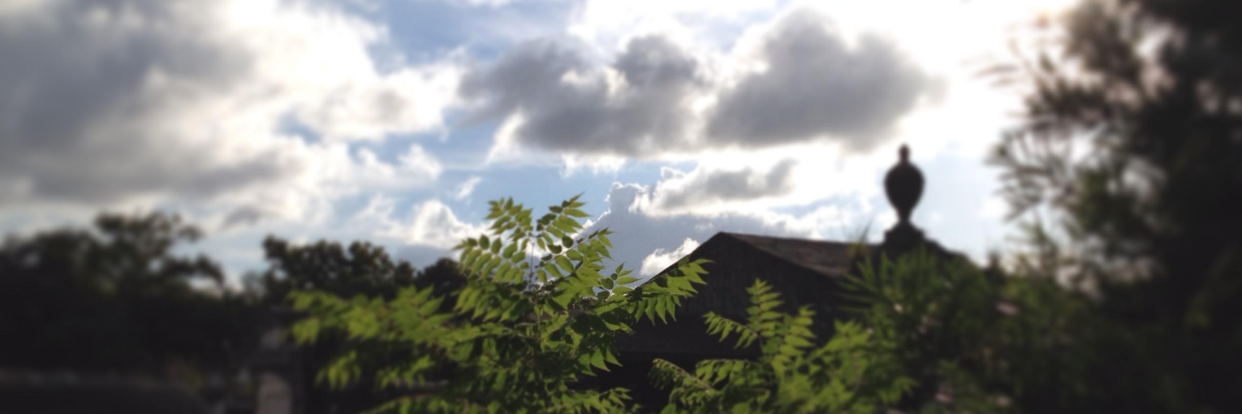 haakwing's profile banner image