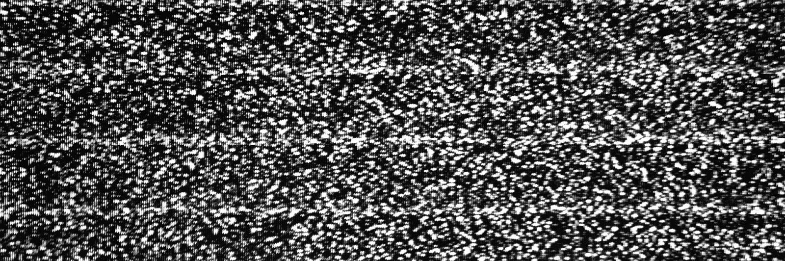 José Carrillo banner