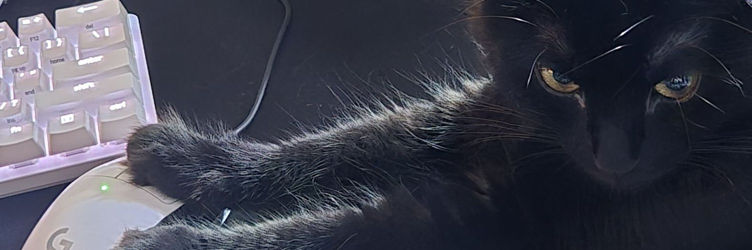 slurpyypriv's profile banner image