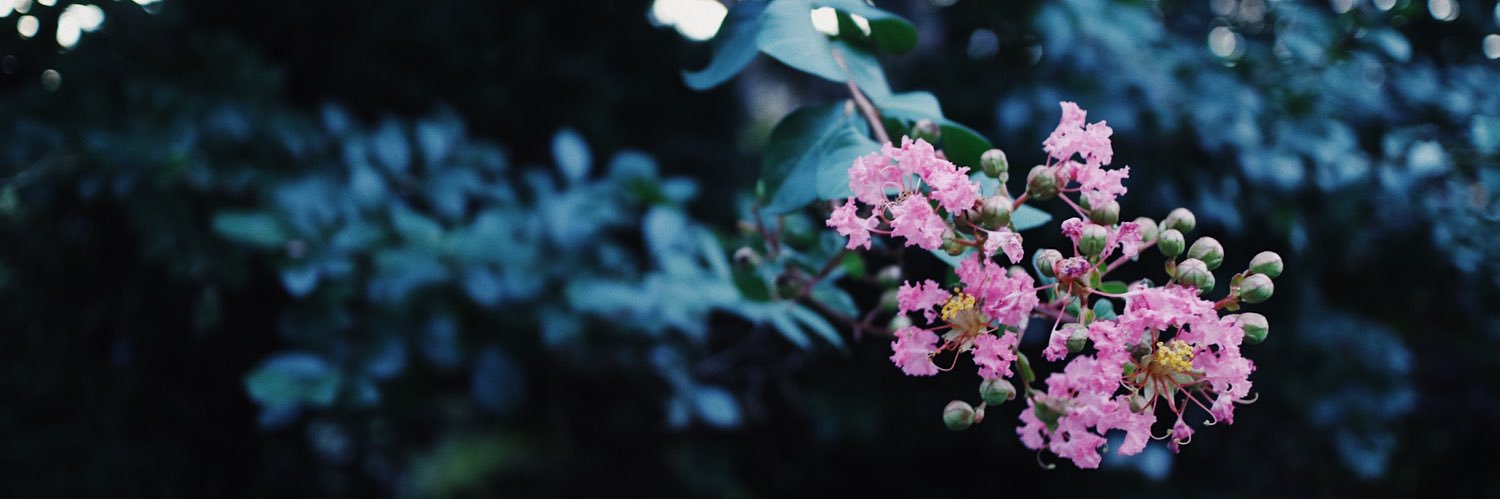 ookana's profile banner image