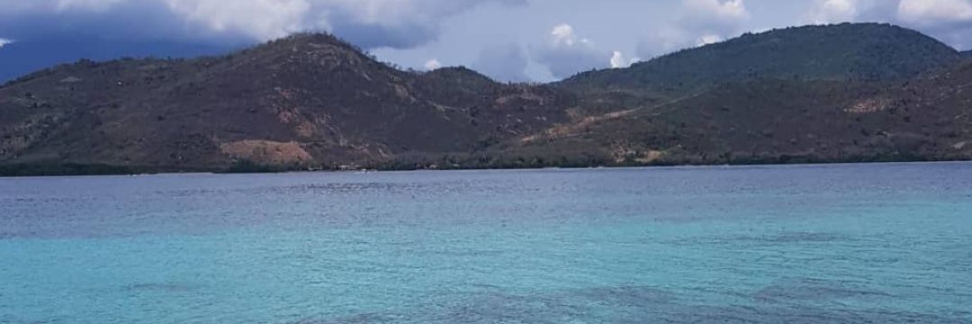 fifisianturi's profile banner image