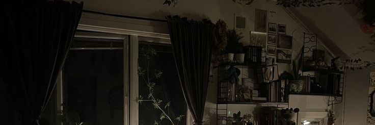 MOARLINDA's profile banner image