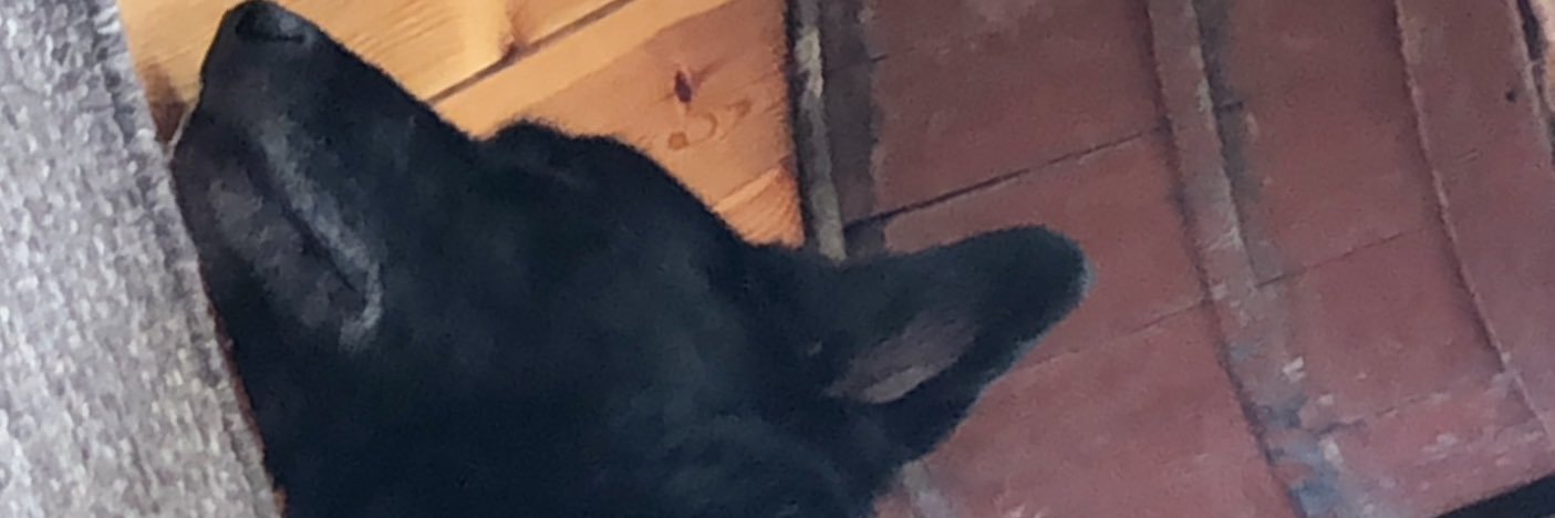 madshj93's profile banner image
