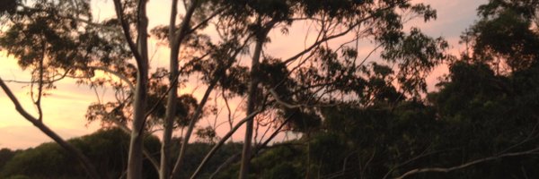 PhilBranagh Profile Banner