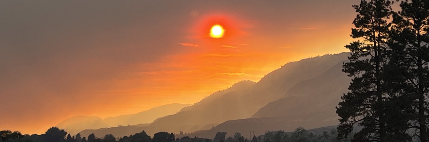 muracagary's profile banner image