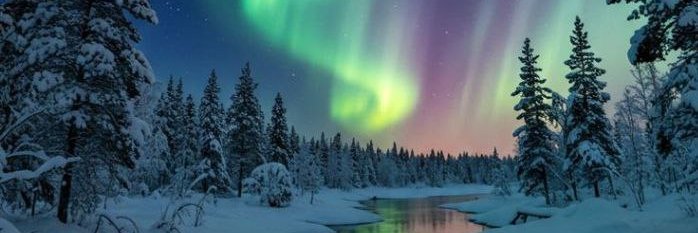 Northern_Fairy's profile banner image