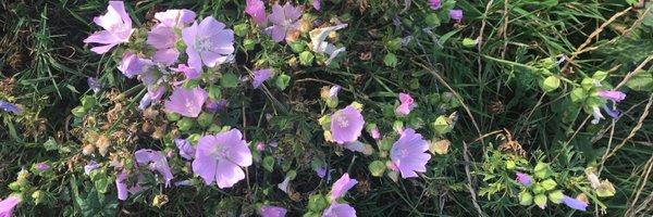 CatherineHigha3 Profile Banner