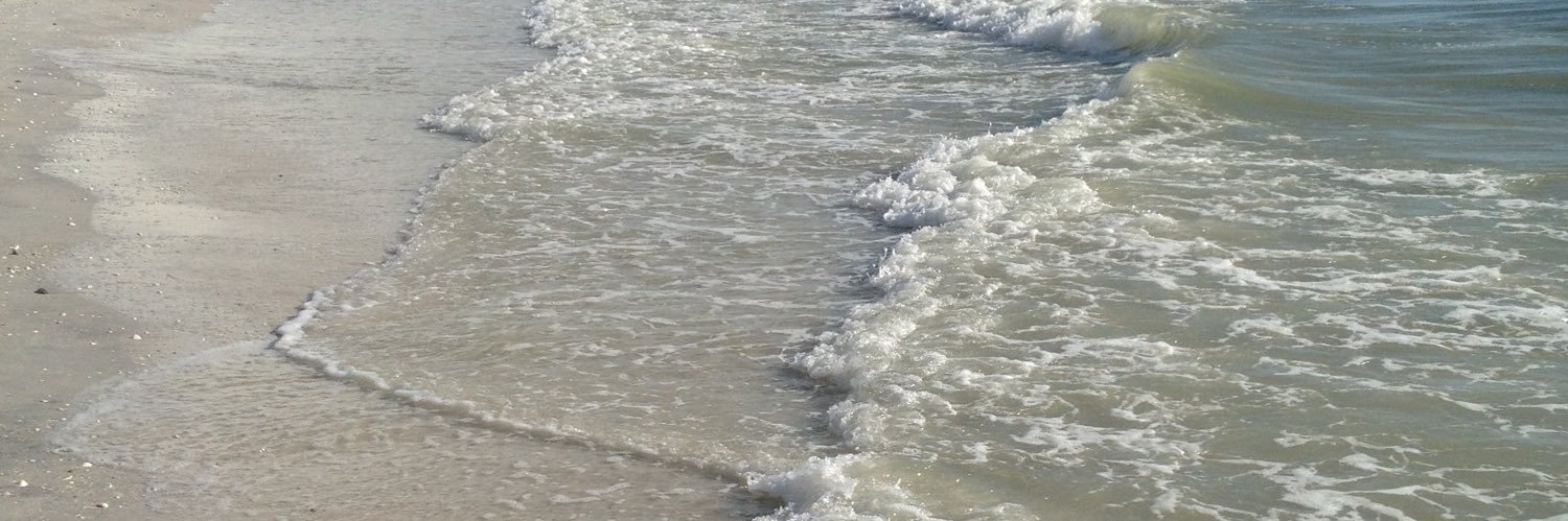 Matthew Haslehurst banner