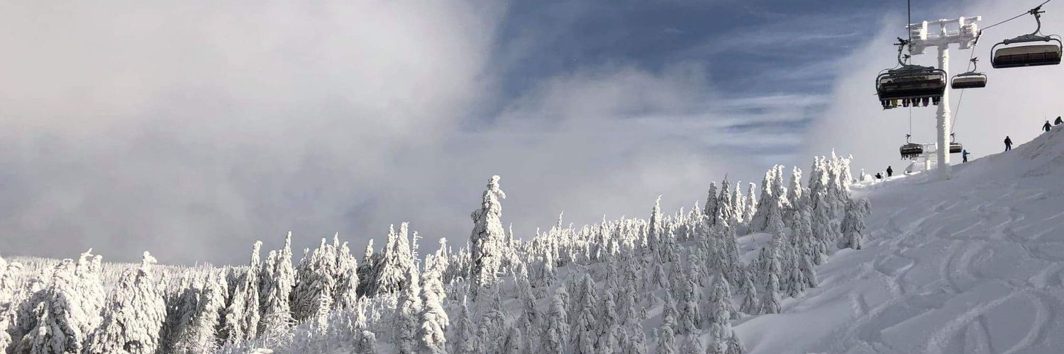 Dominik Suchodolski banner