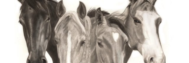 Crystal_Rescues's profile banner image