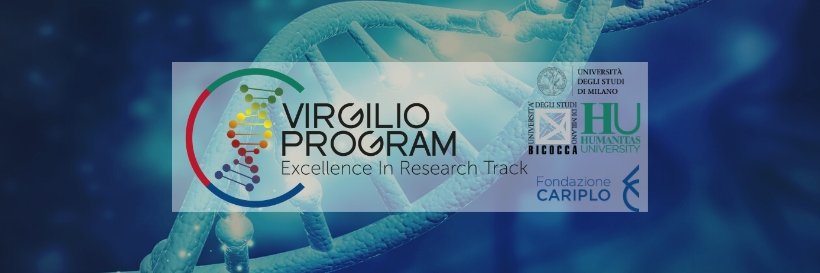 VirgilioProgram banner