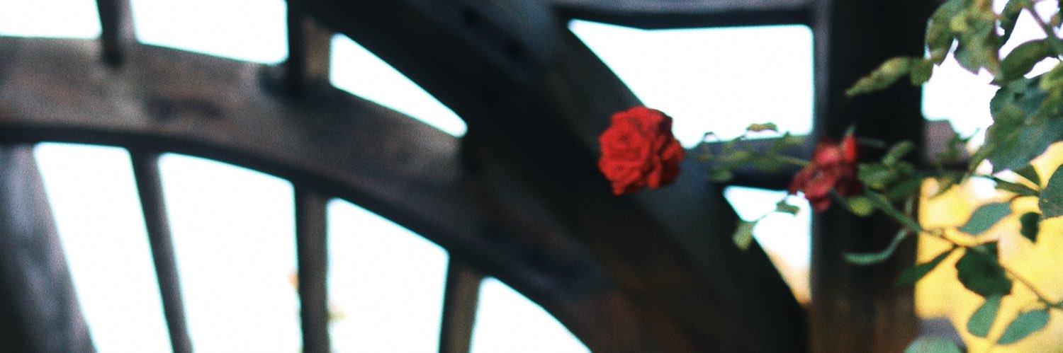 allyybarry's profile banner image