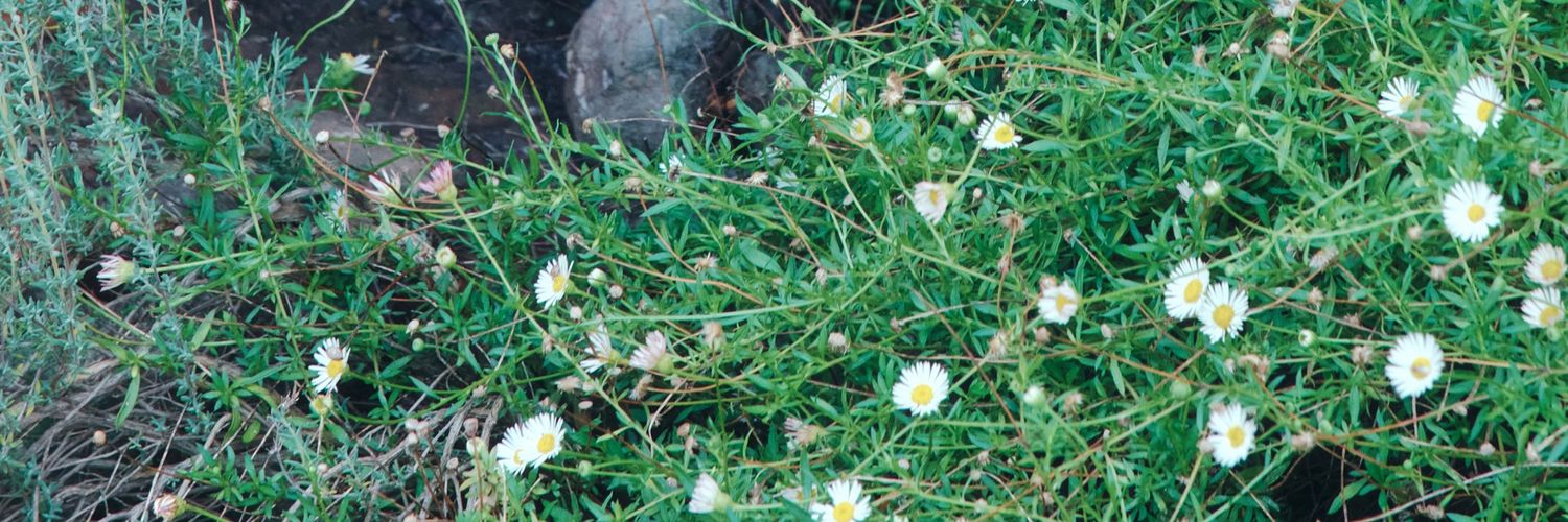 yeolmyonly1_'s profile banner image