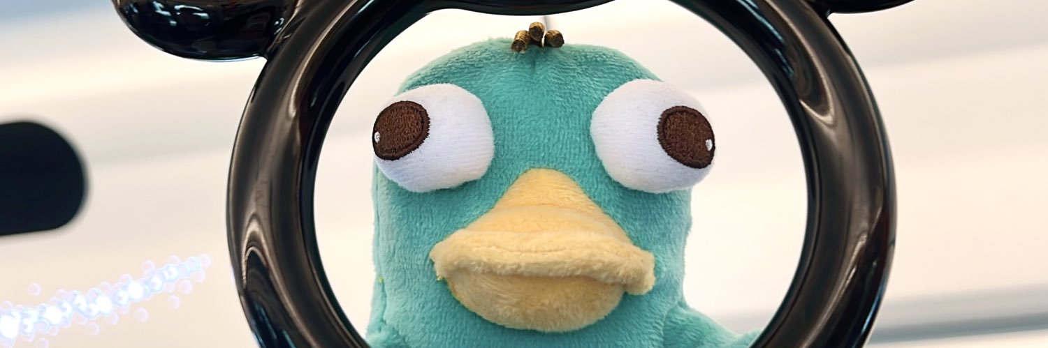 rirurill's profile banner image