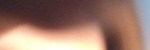 JacksonBone_Ltd Profile Banner