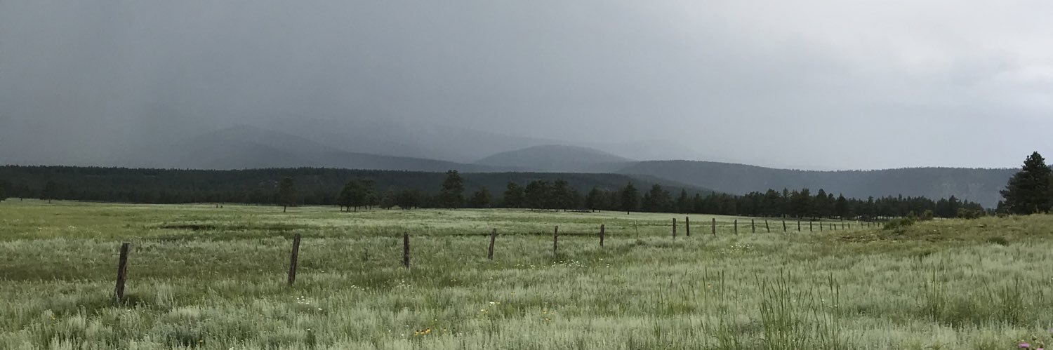 The_Autumn_'s profile banner image